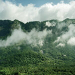 Vengappara Viewpoint