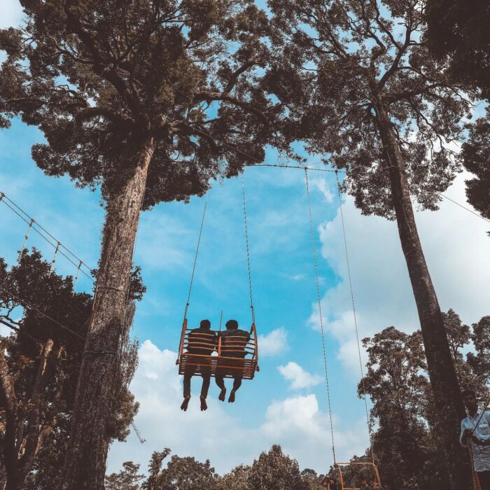 Wayanad Tent Stay Package with Glass Bridge - Image 9