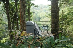 Forest Tent Stay