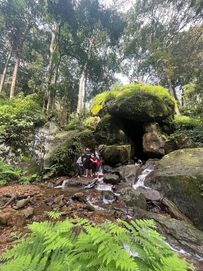 Wayanad Tent Stay Package with Glass Bridge - Image 3