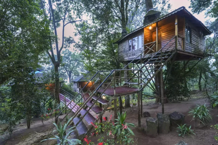 Nature Zone Resort Tree House in munnar - Image 6