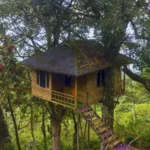 Nature Zone Resort Tree House in munnar