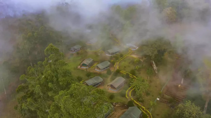 Nature Zone Resort Tree House in munnar - Image 3