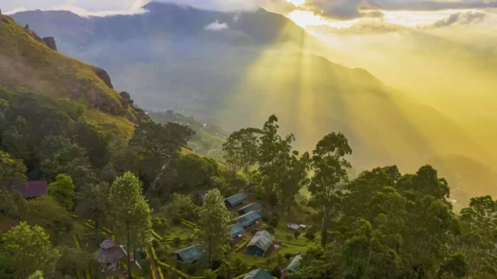 Nature Zone Resort Tree House in munnar - Image 5