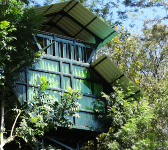 TREE HOUSE WAYANAD (Changaathi Green villa)