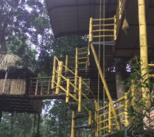 Jungle Jive Tree House
