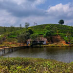 21 Must Visit Tourist places in Vagamon