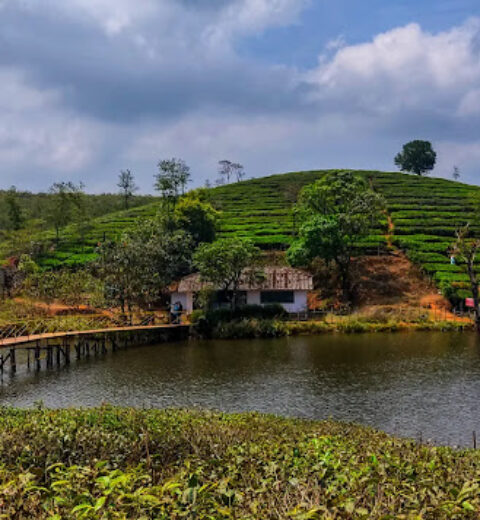 Top 72 tourist attractions in Munnar and Idukki District of Kerala