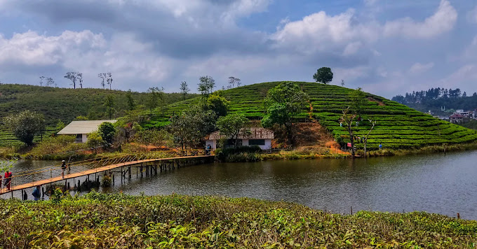 vagamon to munnar tourist places