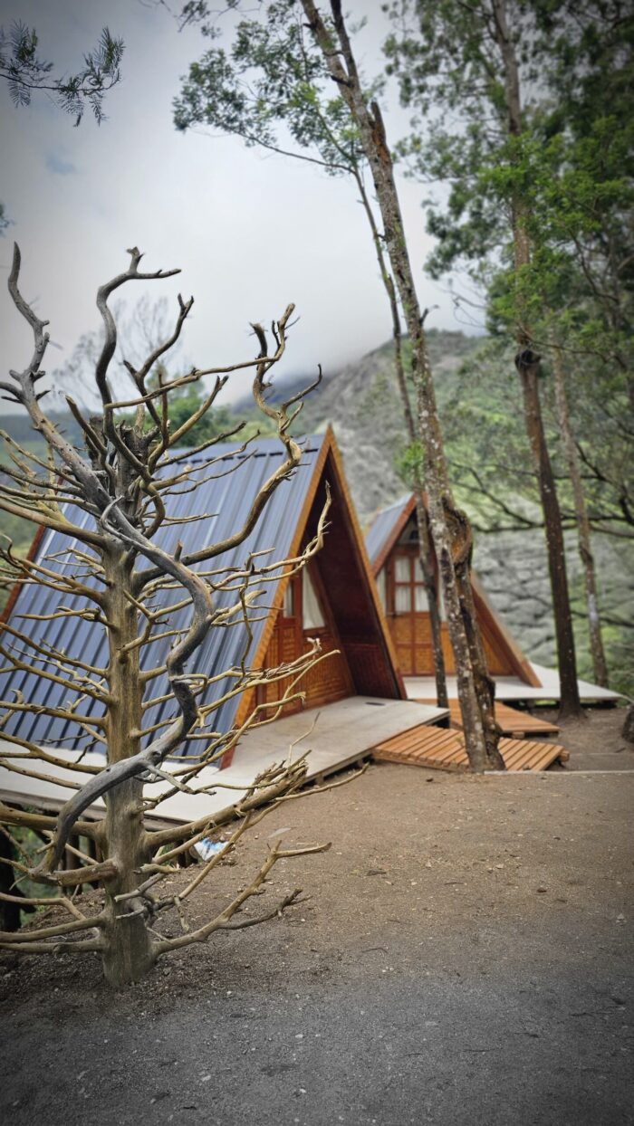 Kolukkumalai A Frame Stay in Suryanelli - Image 12