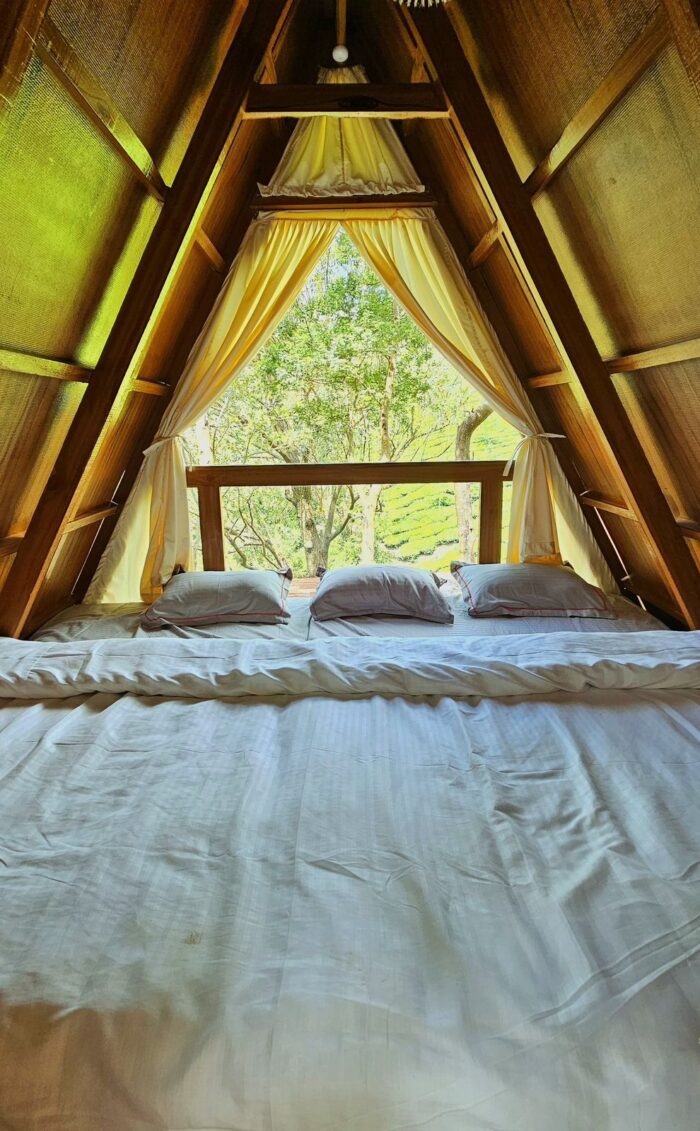 Kolukkumalai A Frame Stay in Suryanelli - Image 7