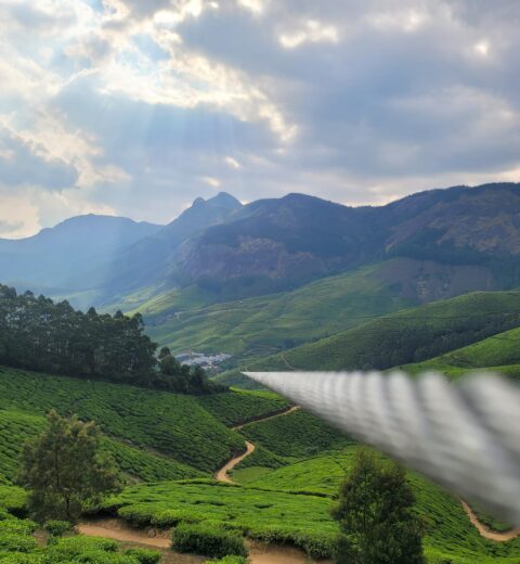 Things Must Know Before Planning The Munnar Trip