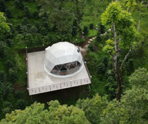 Forest Dome Stay in Kerala