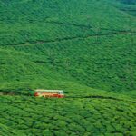 KSRTC Tour Coordinator Phone Number