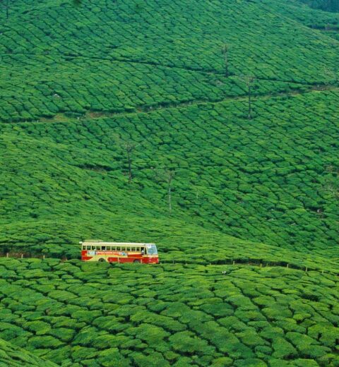 KSRTC Munnar ₹250 Sightseeing Package Itinerary