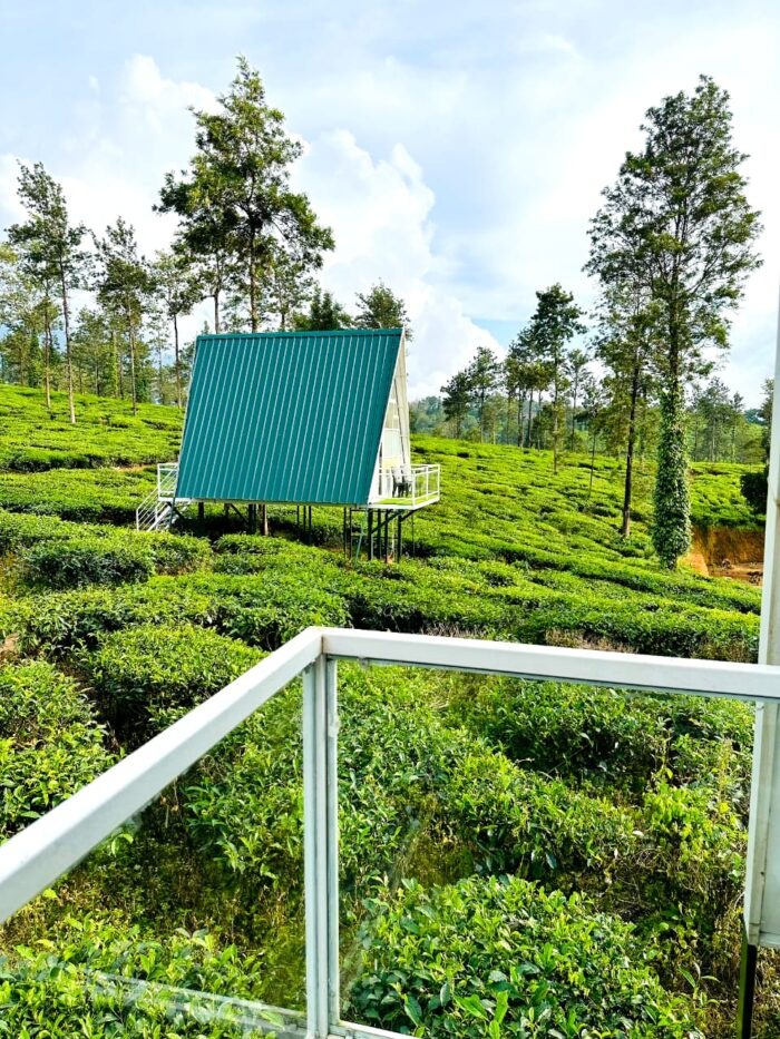 Tea Plantation A-frame stay in Wayanad - Image 5