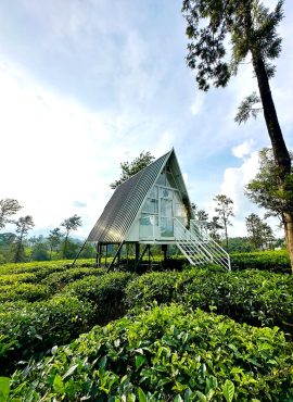 Wayanad