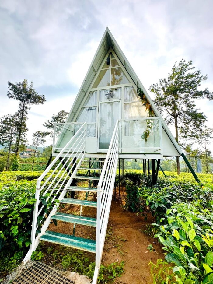 Tea Plantation A-frame stay in Wayanad - Image 3