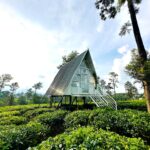 Tea Plantation A-frame stay in Wayanad