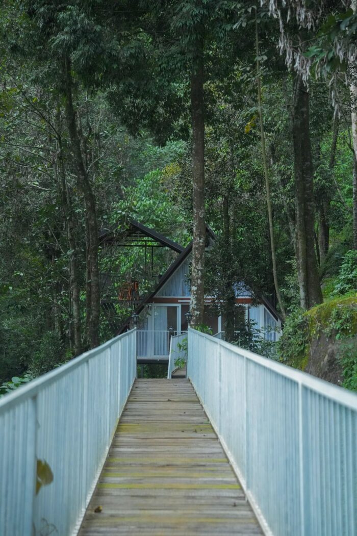 900 Woods Resort - Image 3