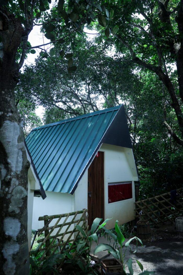 Swimming pool Homestay in Munnar - Image 7