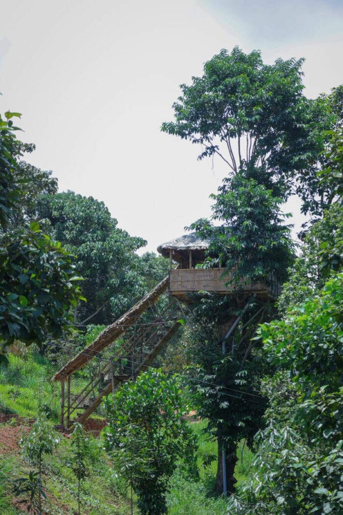 Swimming pool Homestay in Munnar - Image 6