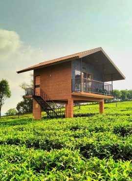 Vagamon