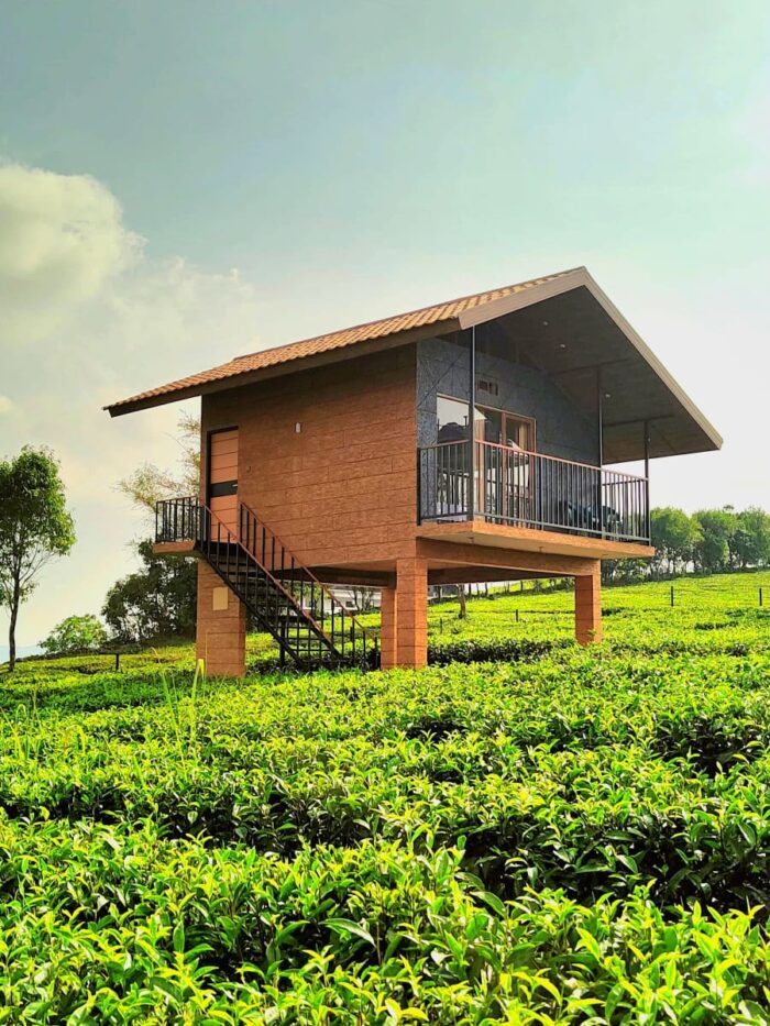 Cloud Canopy Vagamon - Image 2