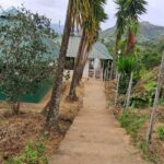 Affordable homestay in Kanthalloor
