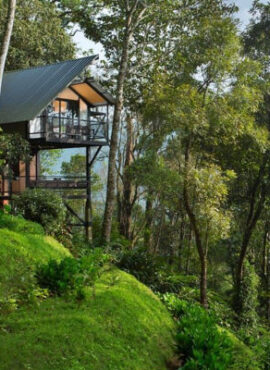 Thekkady