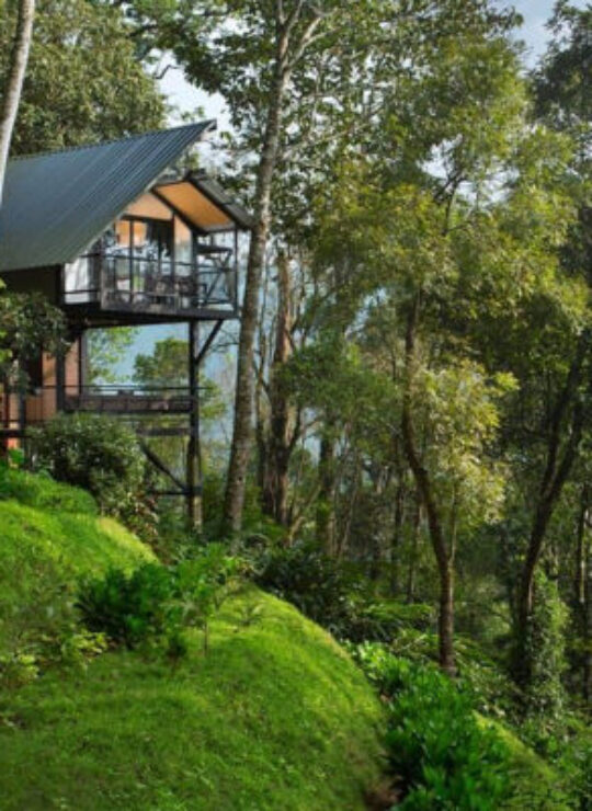 Thekkady