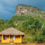 Food Forest Kanthalloor Mud Houses & Wood Houses