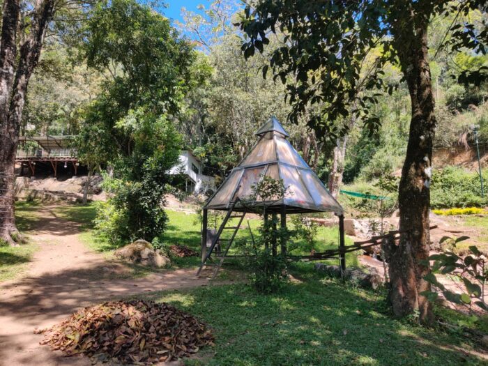 Glass house stay with Waterfall Trekking Munnar - Image 9