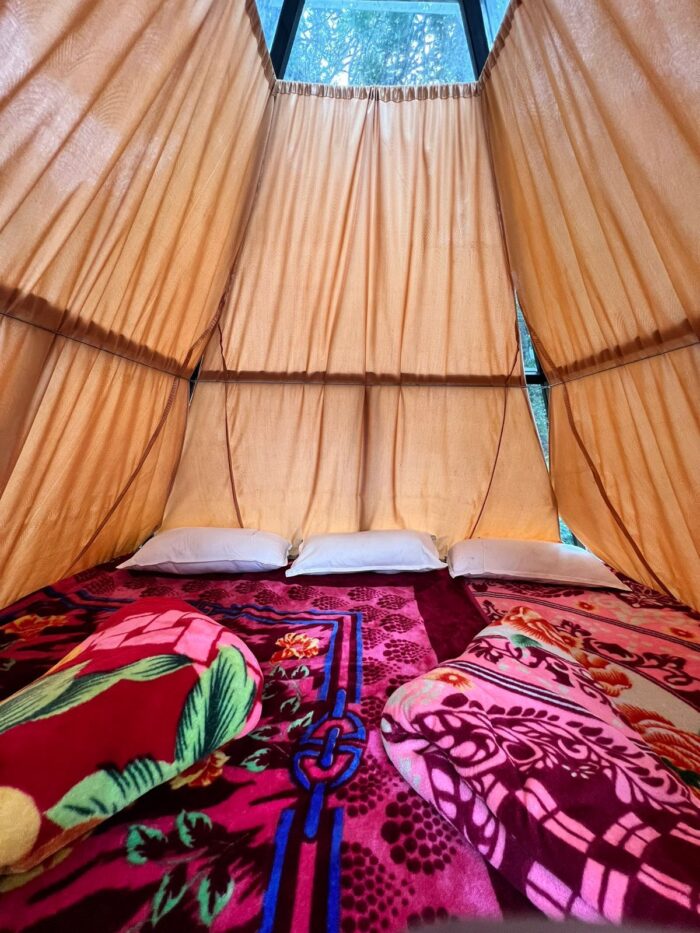 Glass house stay with Waterfall Trekking Munnar - Image 2