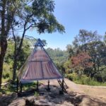 Glass house stay with Waterfall Trekking Munnar