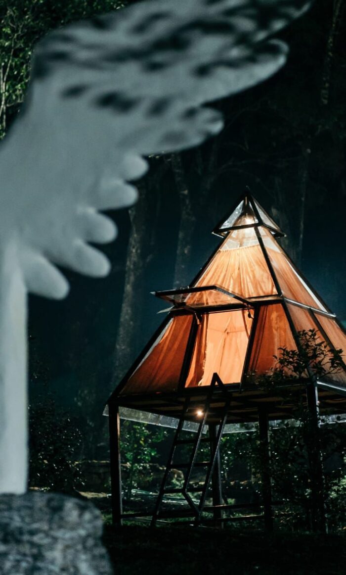 Glass house stay with Waterfall Trekking Munnar - Image 3