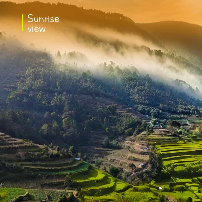 Roamrustic camp Vattavada Munnar - Image 3