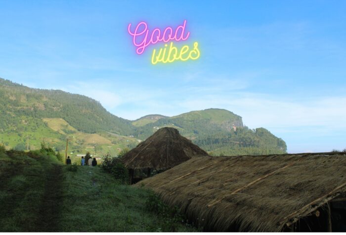 Roamrustic camp Vattavada Munnar - Image 6