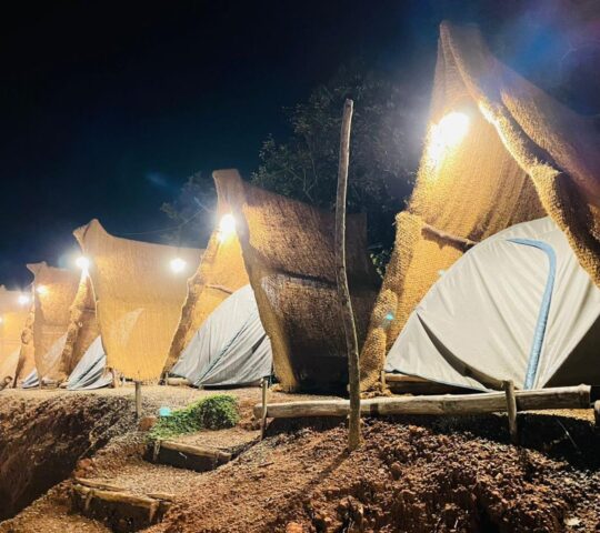 Plantation Tent stay in Vagamon
