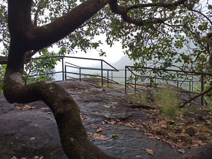 Thusharagiri - Image 6