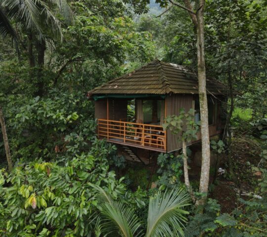 Thuzharagiri huts