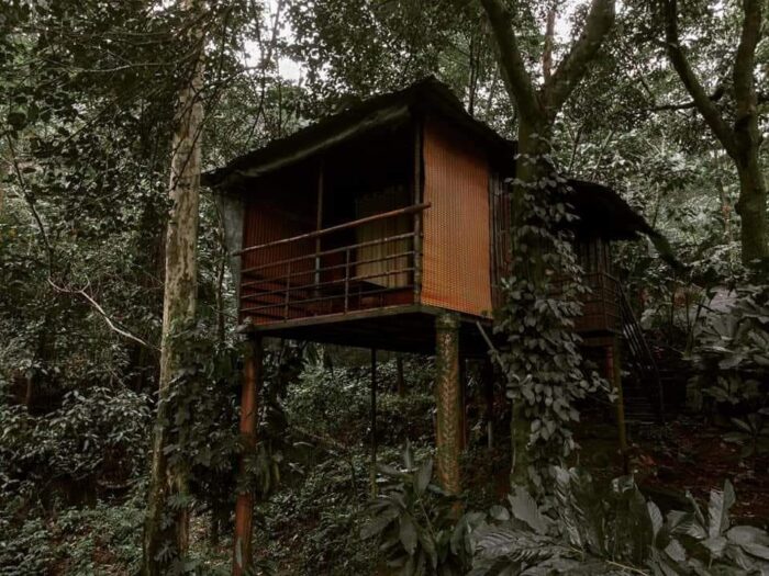 Thusharagiri - Image 5