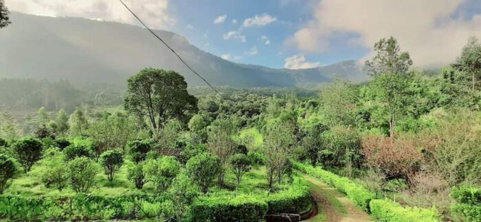 Dormitory Homestay in Kanthalloor - Image 5