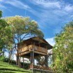 Holiday Vagamon Treehouse
