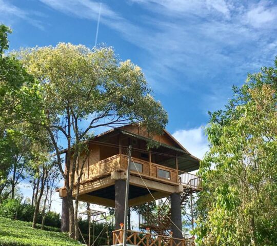 Holiday Vagamon Treehouse