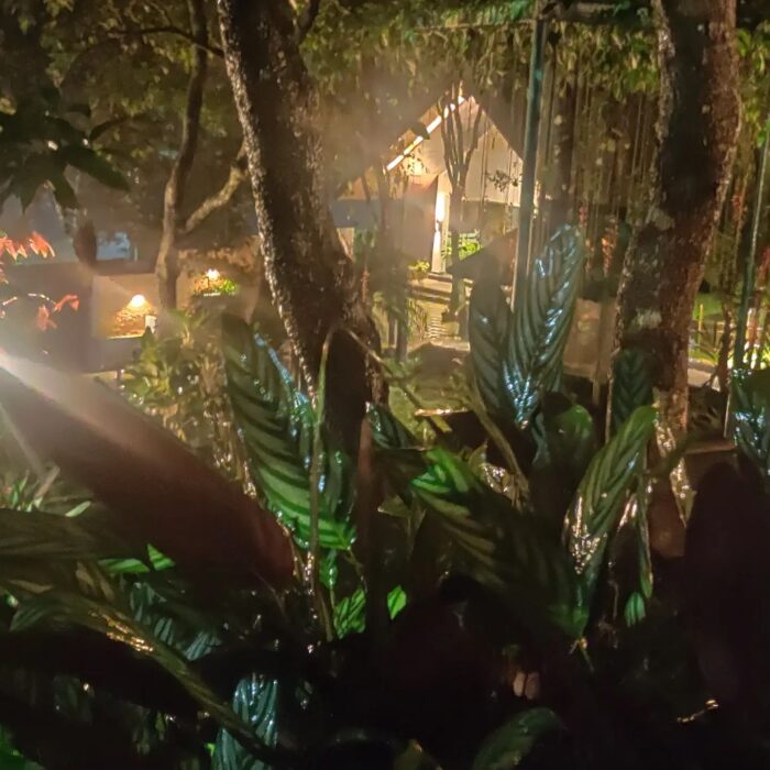 Holiday Vagamon Treehouse - Image 12