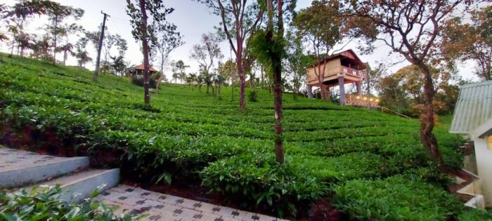 Holiday Vagamon Treehouse - Image 13