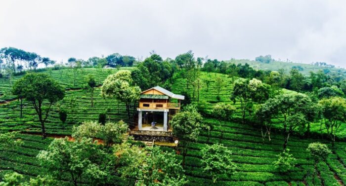 Holiday Vagamon Treehouse - Image 5