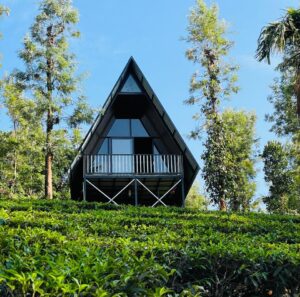 Plantation-A-frame-Resort-Meppadi-wayanad