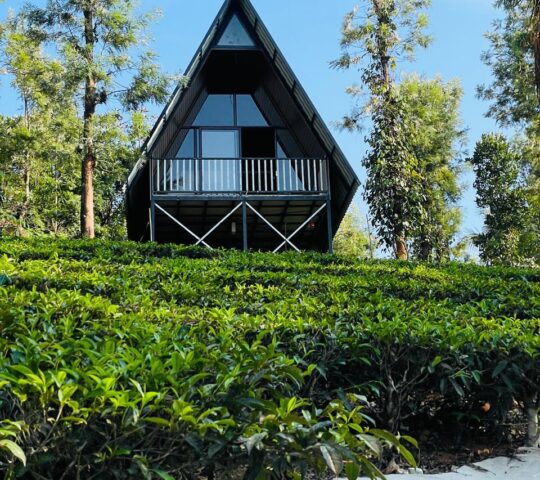 Plantation Resort stay in Wayanad